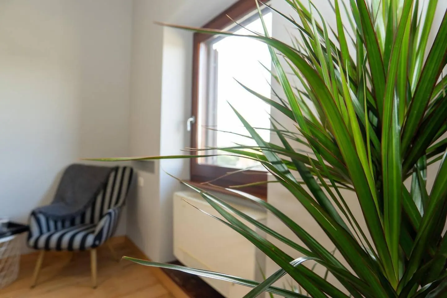Divine View Apartment Roma 0*,  Italia